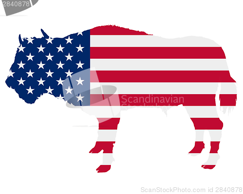 Image of Buffalo in stars and stripes