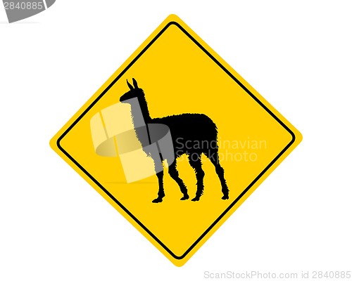 Image of Llama warning sign