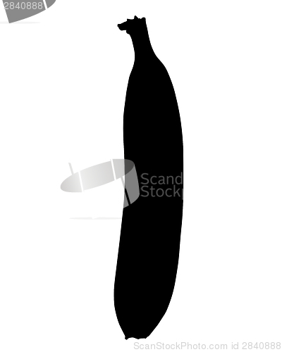 Image of Silhouette of banana