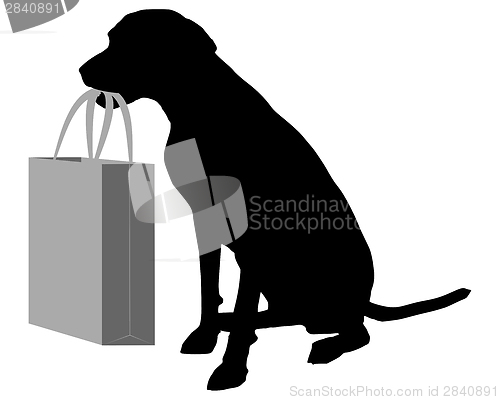 Image of Dog shopping