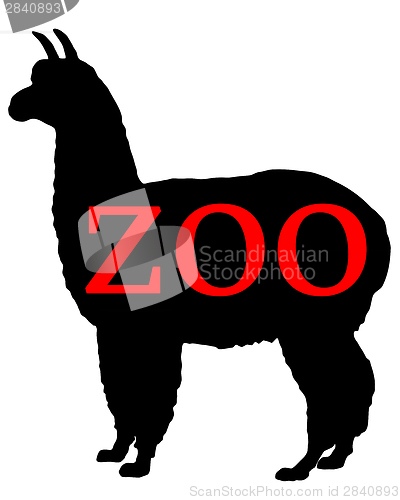 Image of Zoo animals