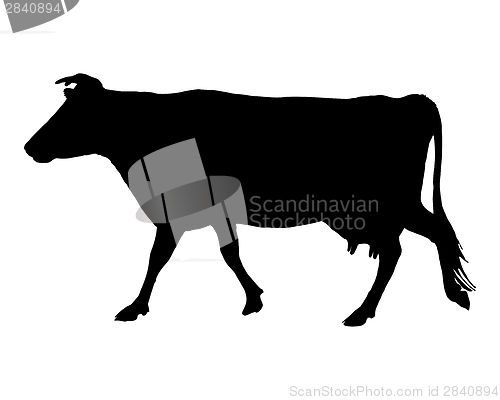 Image of The black silhouette of a cow on white