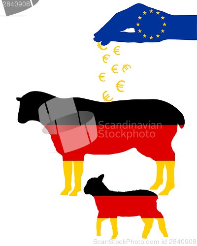 Image of German sheep and european subsidies