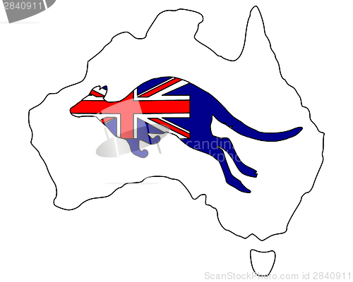 Image of Australian kangaroo