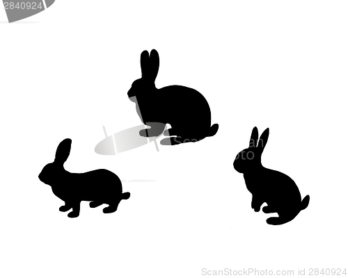 Image of Black silhouette of three bunnys on white