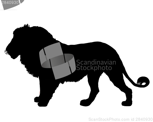 Image of Lion silhouette