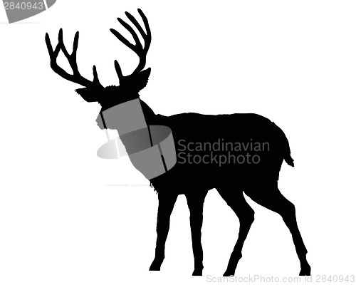 Image of The black silhouette of a deer on white