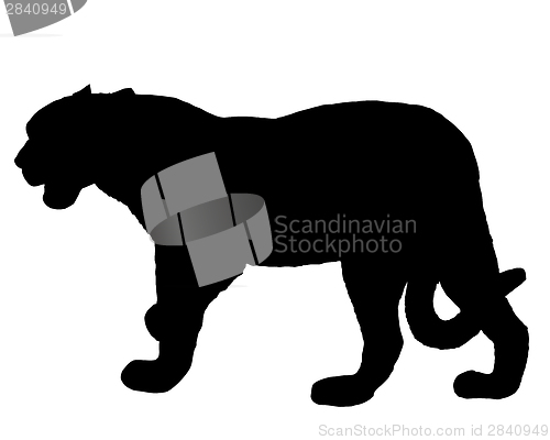 Image of Jaguar silhouette