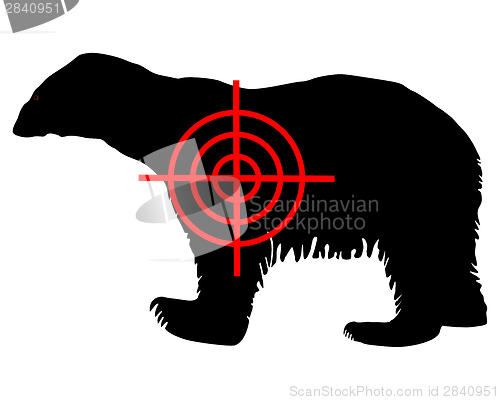 Image of Polar bear crosshair