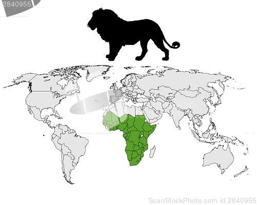 Image of Lion distribution
