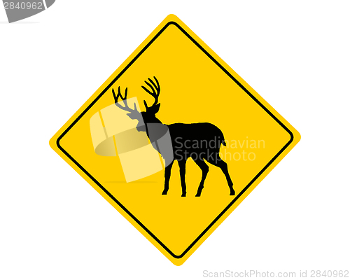 Image of Deer warning sign