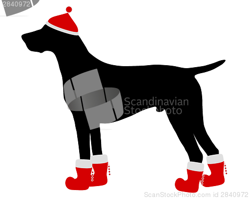 Image of German Shorthaired Pointer with red christmas cap and boots