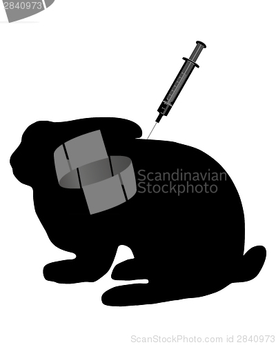 Image of Immunization for bunnies