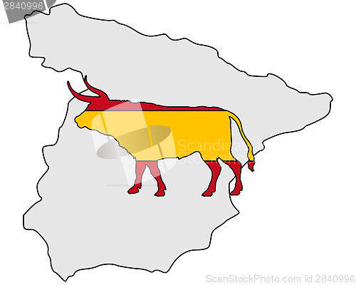 Image of Spanish bull