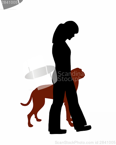 Image of Dog training (obedience): command heel