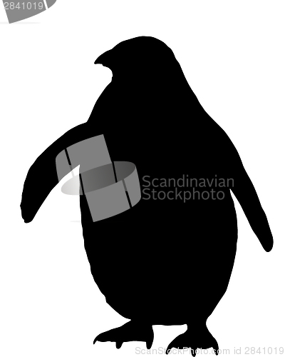 Image of Penguin Silhouette