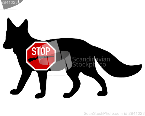 Image of Stop shoot  fox