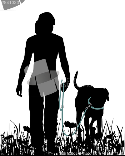 Image of Walking with dog in the meadow