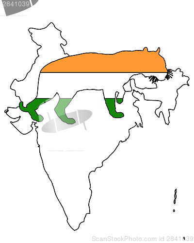 Image of India tiger