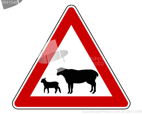 Image of Sheep flock warning sign