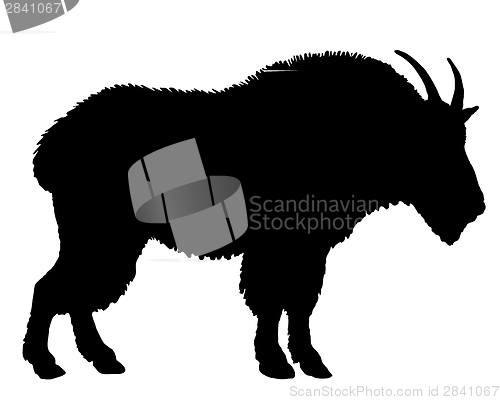 Image of Mountain goat silhouette