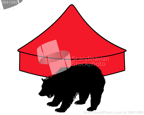 Image of Grizzly bear in circus