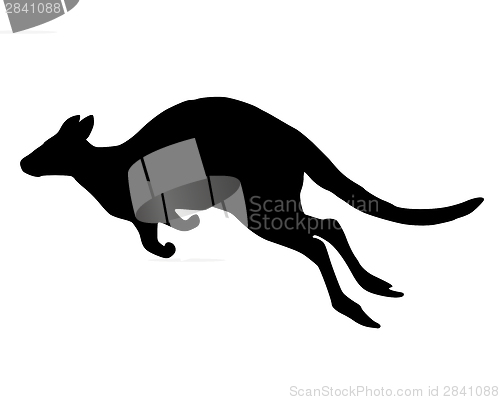 Image of Detailed and isolated illustration of kangaroo jumping