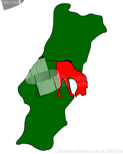 Image of Portuguese he-goat