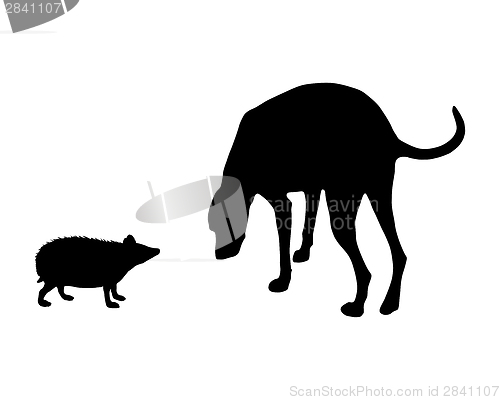 Image of The black silhouettes of dog and hedgehog on white 