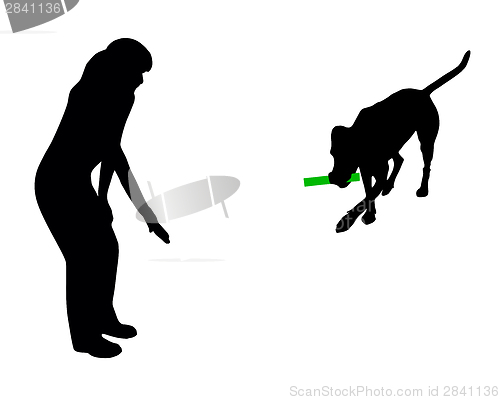 Image of Dog training (obedience): command: bring stick