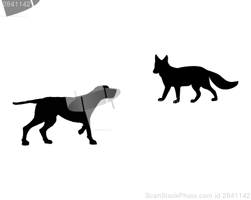 Image of Two animals, setter and fox meet face to face