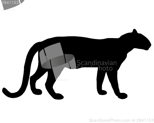 Image of Leopard silhouette
