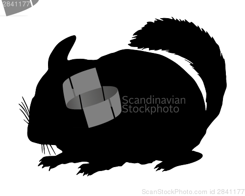 Image of Chinchilla Silhouette