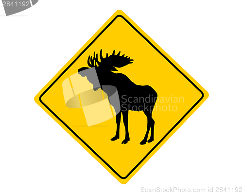 Image of Moose warning sign