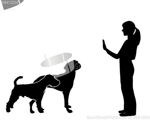 Image of Dog Training