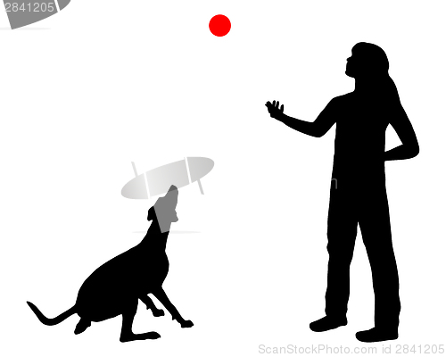 Image of Dog training