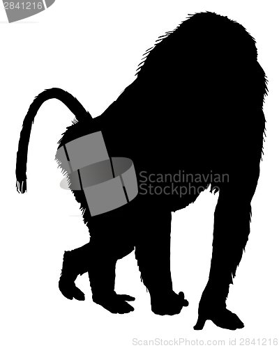 Image of Baboon silhouette