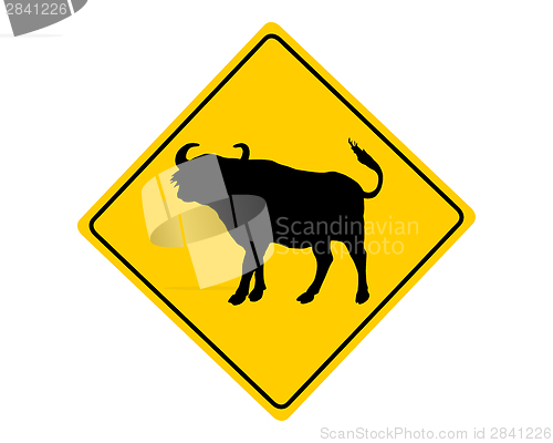Image of Buffalo warning sign