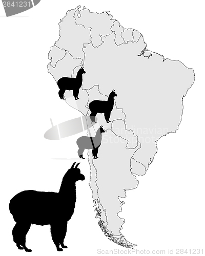 Image of Alpaca range map