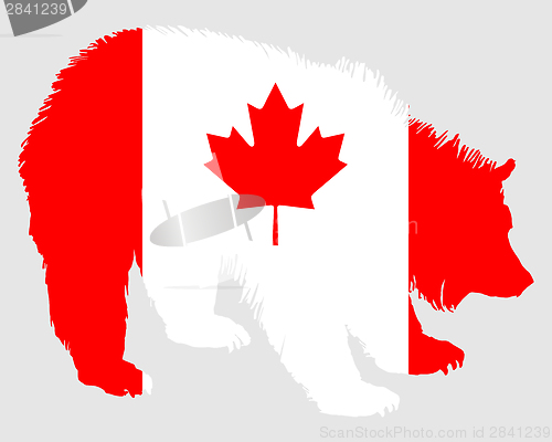 Image of Canadian bear