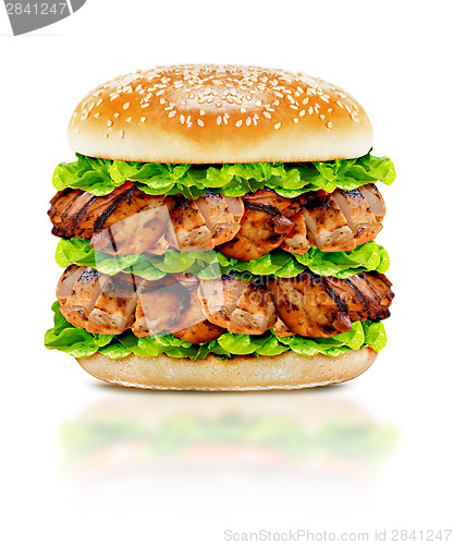 Image of Delicious chicken burger 