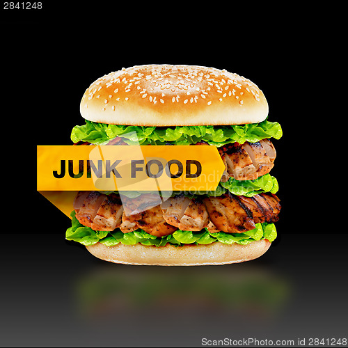 Image of Junk Food