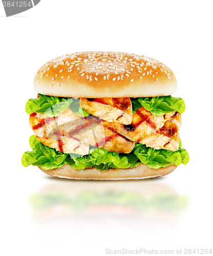 Image of Delicious chicken burger 