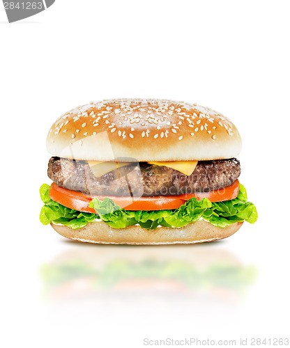 Image of Delicious burger 