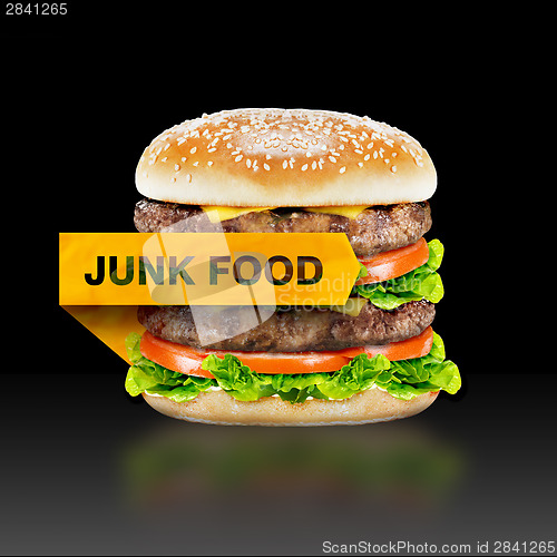 Image of Junk Food