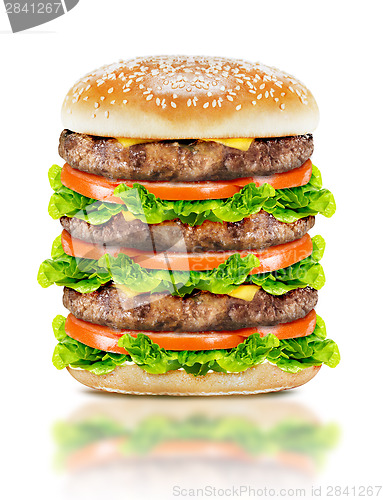 Image of Delicious big burger 