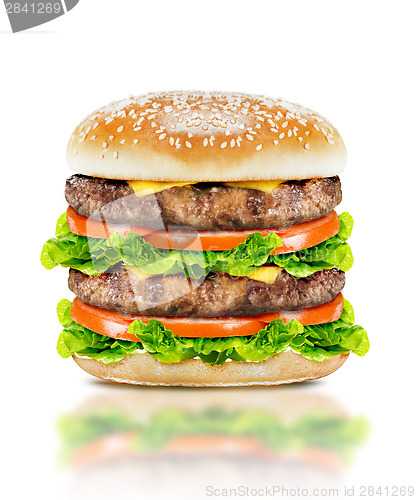 Image of Delicious big burger 