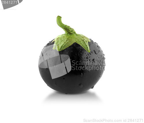 Image of Black Spherical Eggplant