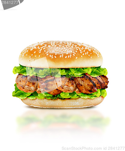 Image of Delicious chicken burger 