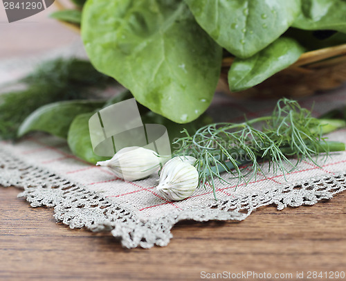 Image of Fresh spinach 